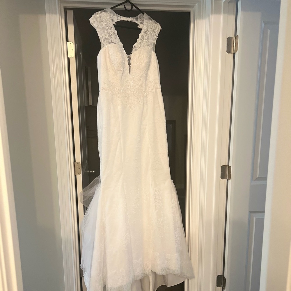 Wedding Dress 👰🏻